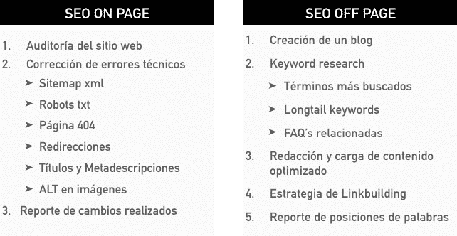 proceso para seo