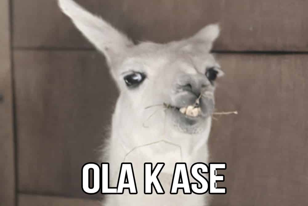 ola-k-ase